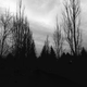 Image for article titled 27 Photos Of Barenaked Trees